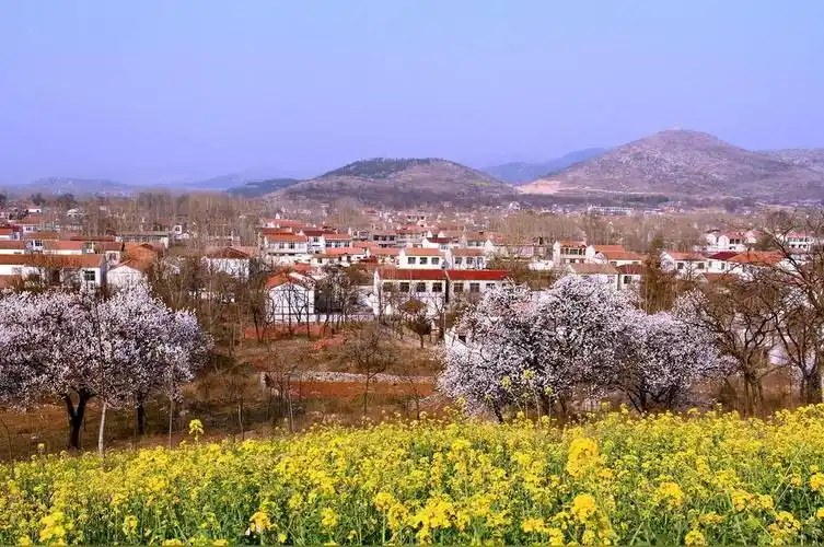 南山村(山东省烟台市龙口市东江镇辖村)_石塘网
