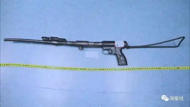 贵港叔侄俩改造射钉枪打猎触犯法律获刑