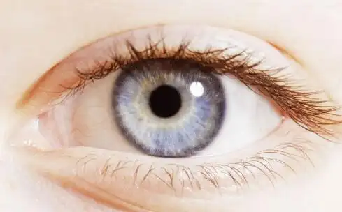青光眼到底有多严重 致盲眼病之一