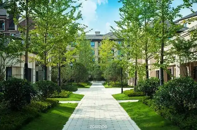 植物配置zoscape植物设计植物景观植物景观意向图