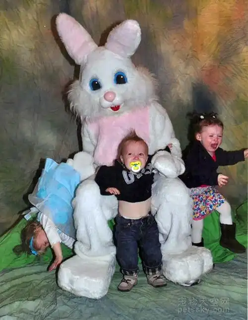 复活节兔作为复活节的象征曾是多少国外孩子的噩梦46张