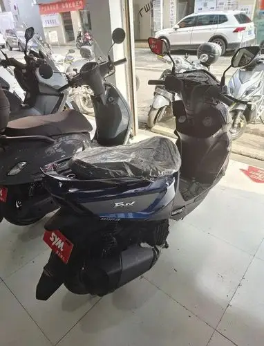 看车一个月提了2021款三阳fnx150