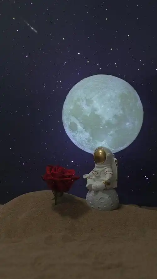 小众唯美的文案,优雅有气质,值得收藏