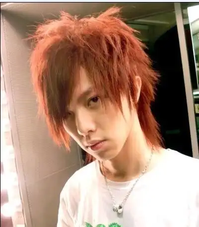 90年代的非主流发型看看有没有你留过的发型