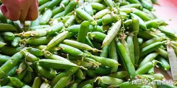 保存豌豆别再焯水了,教你一招,放一年也饱满鲜嫩,不缩水不发黄|鸡蛋|
