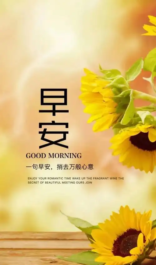 早安阳光励志语录朋友圈早安说说早安心语图片带字