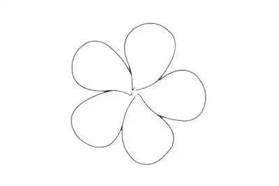 鸡蛋花简笔画简单画法步骤教程及图片大全