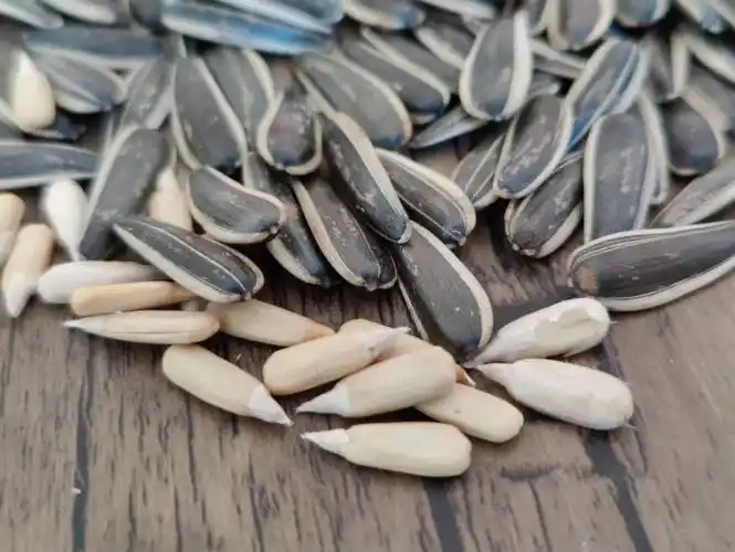 新疆阿勒泰原味葵花籽瓜子