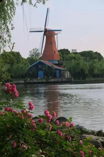 外高桥荷兰风情小镇20205.