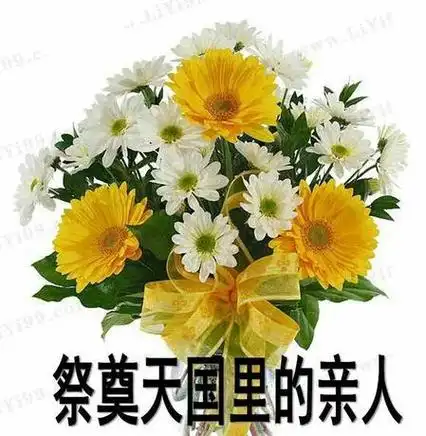 亡人照片怎么处理(死去的人照片处理禁忌) - 看百科