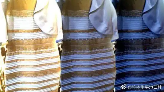 老问题你们看到的是蓝黑还是白金