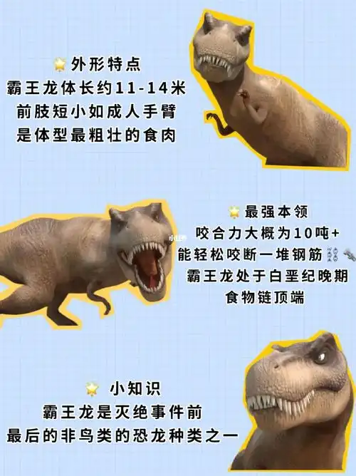 这次给大家介绍的就是手超级短但战斗值爆表的霸王龙99外形特点霸王