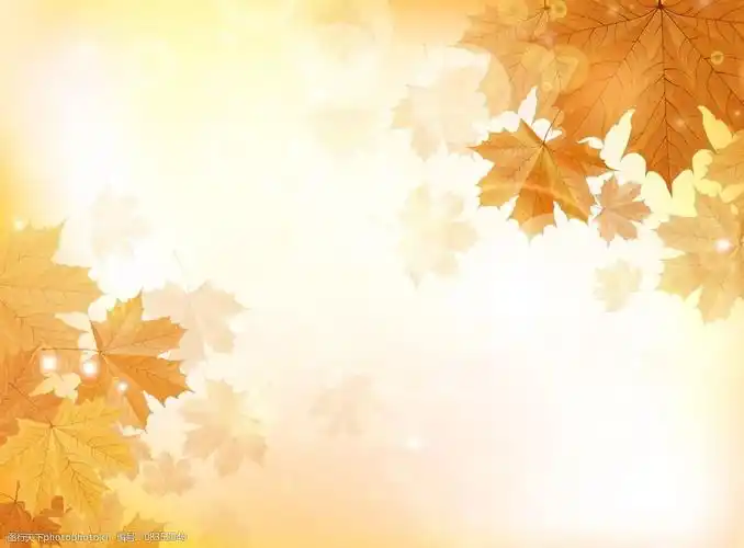 秋天背景图片