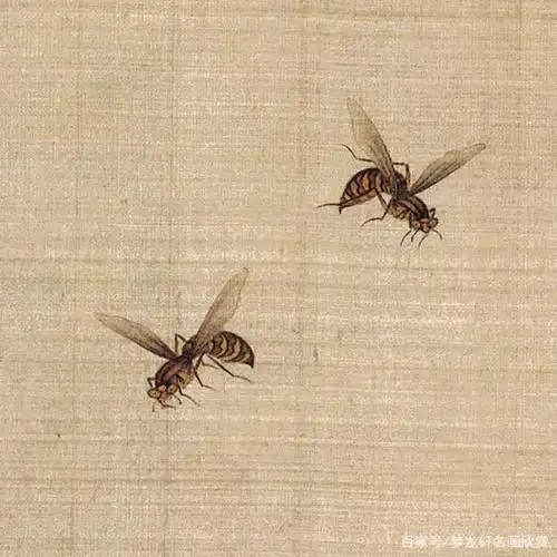 太美了!余稚《花鸟图册》工笔花鸟画高清大图欣赏