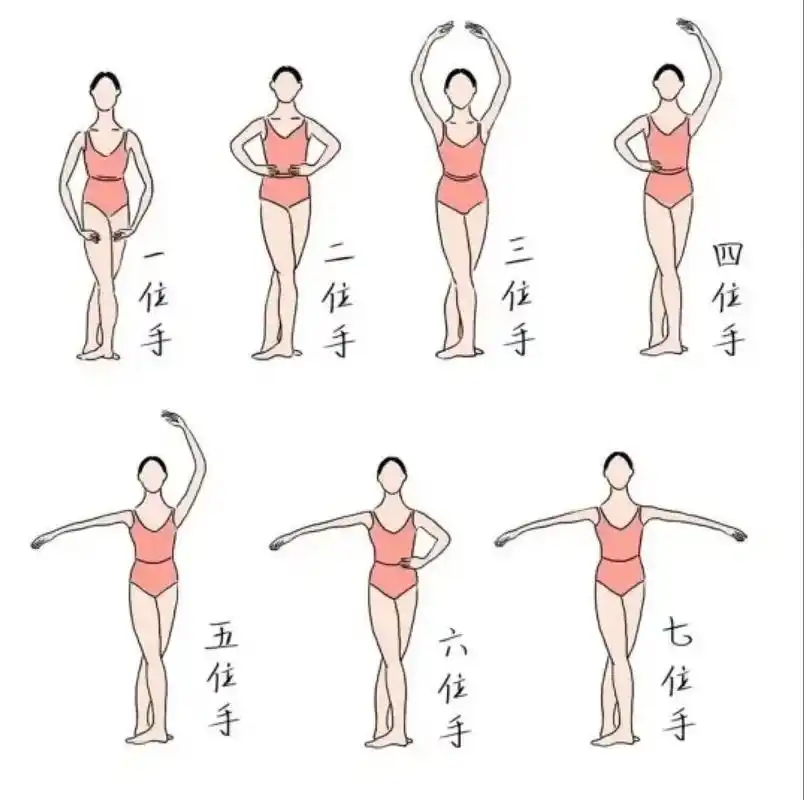 芭蕾的基本手位,1-7手位图解 在芭蕾学习中,手位脚位是最开始学习的