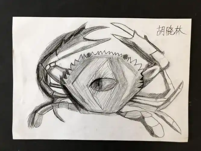 2019暑期素描班第七课(螃蟹写生)