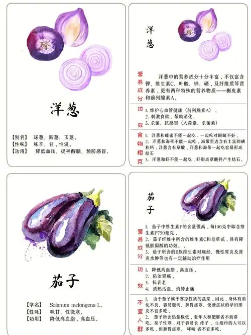蔬菜科普卡片