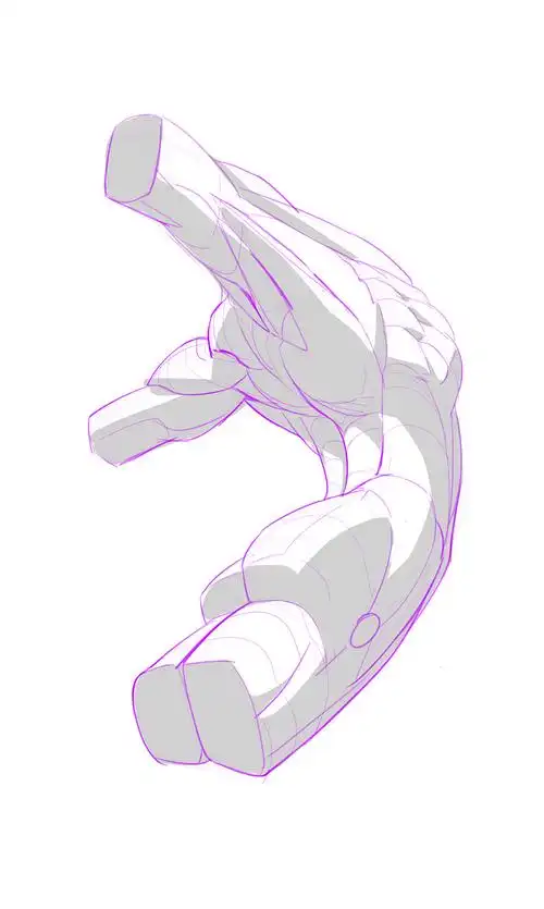 人体结构躯干结构怎么画分享一组素材