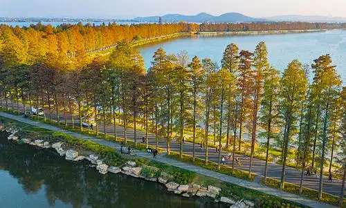 缤纷东湖绿道初冬的暖色调