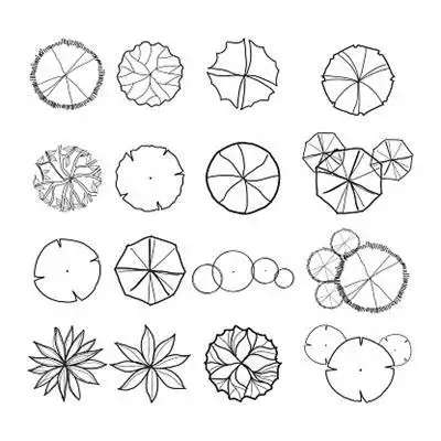 园林植物平面手绘图例