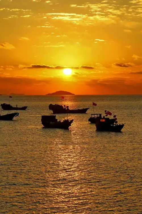 2020元旦日出东海之滨