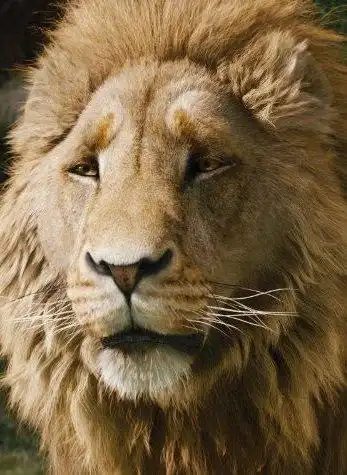 纳尼亚传奇:狮子,女巫和魔衣橱什么时候上映的