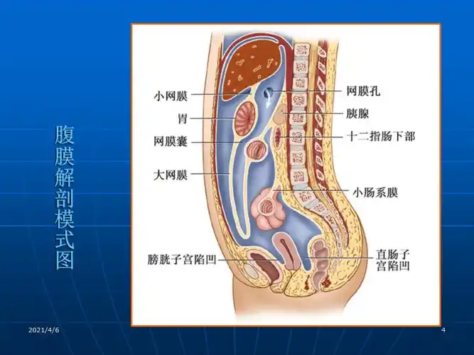急性化脓性腹膜炎病人的护理文档资料