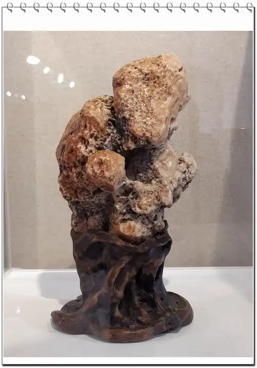 2020阿拉善博物馆之涉案奇石展