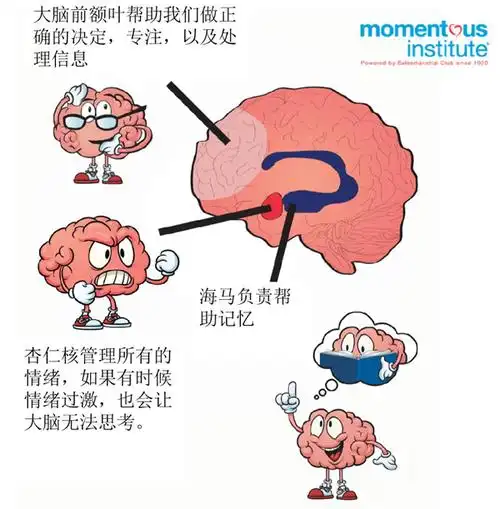 成都协同学校家校联合会,"协"手童心育英才