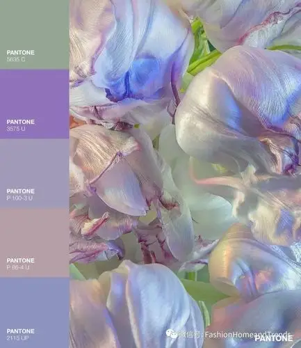 淡紫色和薄荷绿组cp美到发光是2021人人都爱的美人鱼配色