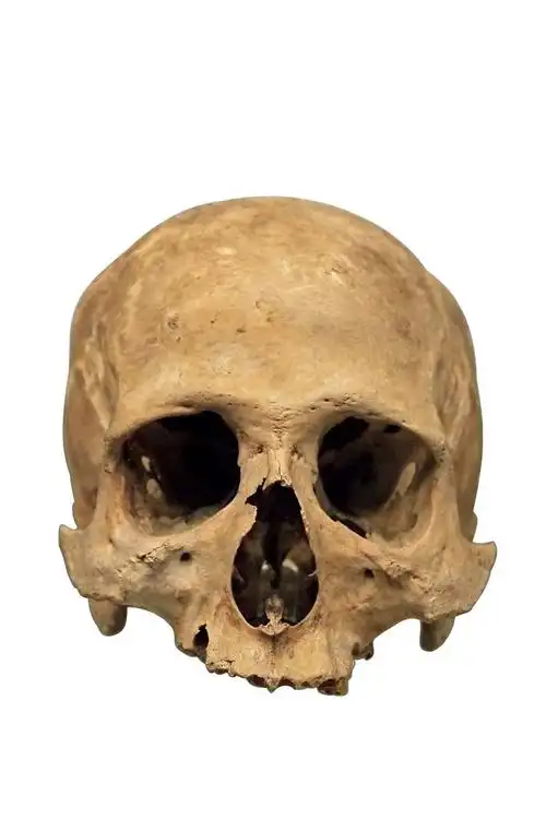 恐怖的骷髅头高清图片