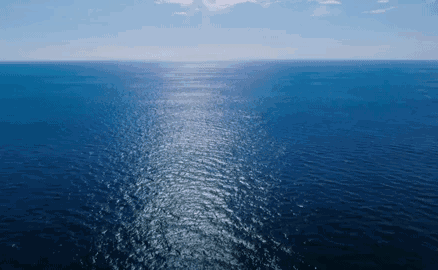 达摩|面向大海,不忘匠心!只为"鲜"开你的味蕾