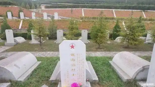 复旦大学通过dna取样,找到我牺牲了75年的叔叔|山西|三叔|烈士墓|烈士