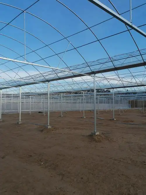 歌珊温室陕西榆林榆阳区简易连栋薄膜温室大棚工程案例