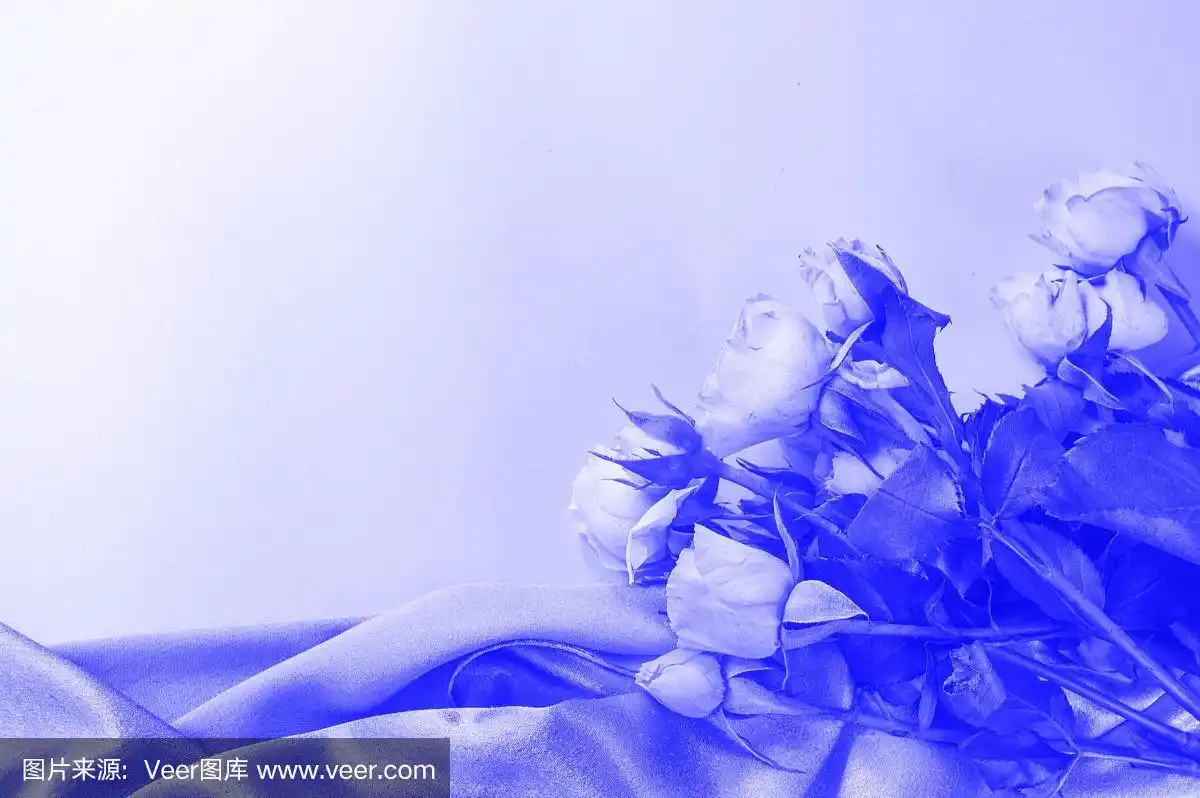 淡蓝色,柔软的丝绸上一束玫瑰,平床,俯视图,现成的布局,浪漫和爱