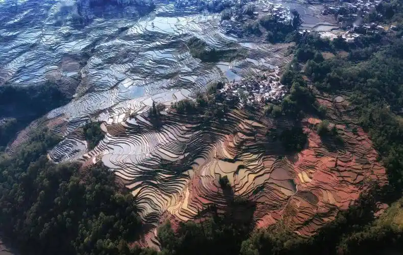 红河哈尼梯田景色_云雾_多变的_仙境