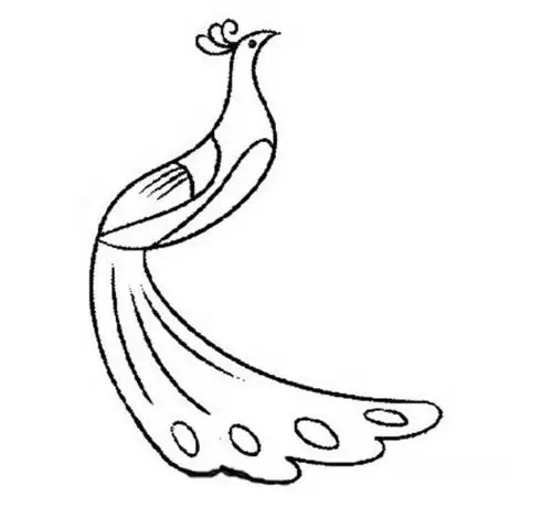 开屏的孔雀简笔画图片_孔雀儿童绘画图集