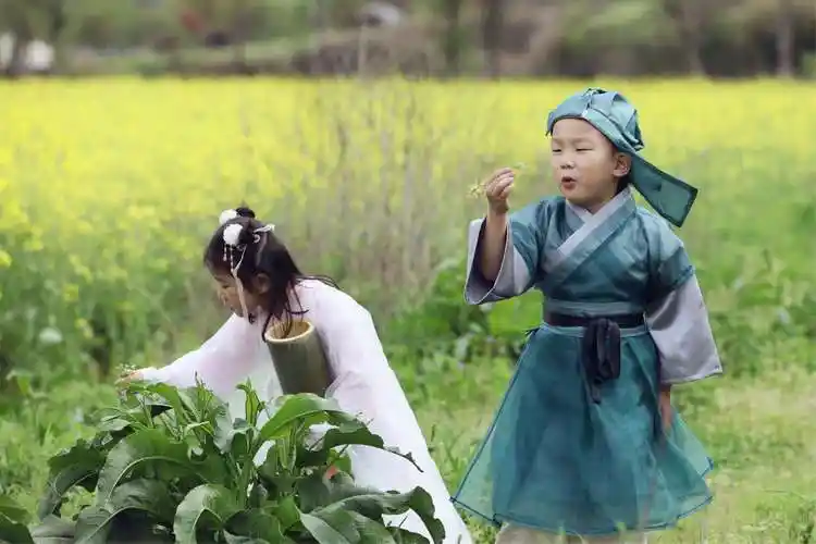 青梅竹马同为写悲剧爱情的女作家张爱玲冷血她却灵气