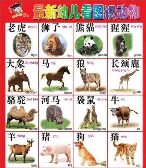 敦煌出土一千年前小朋友写的字?这才是真相