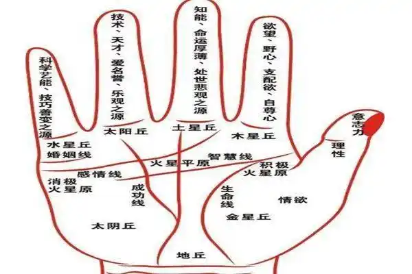 假如一个人手掌上爱情线与金星带的那里有非常明显的理财纹,大多为一