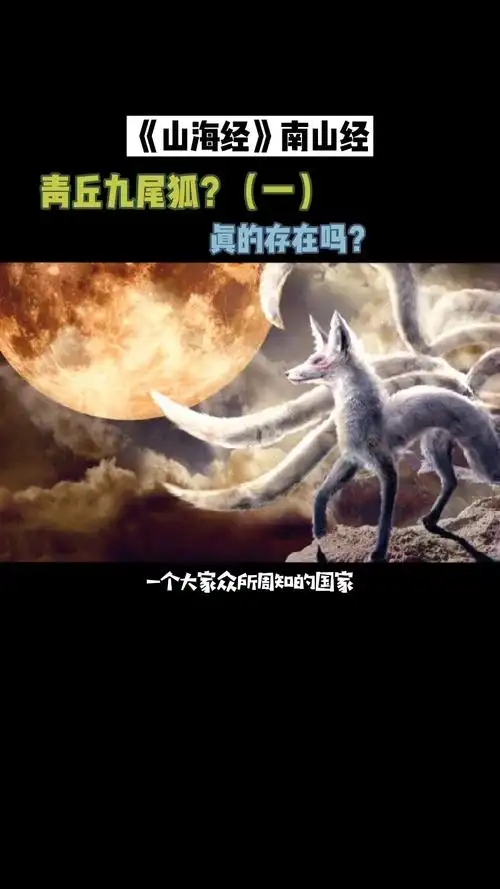 历史#真实存在的青丘国九尾狐 (13)