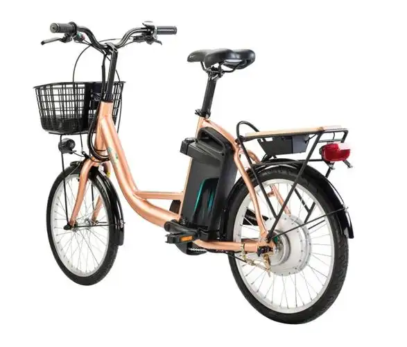 【图】捷安特 l380li 电动自行车整车外观(官方)图片-电动力