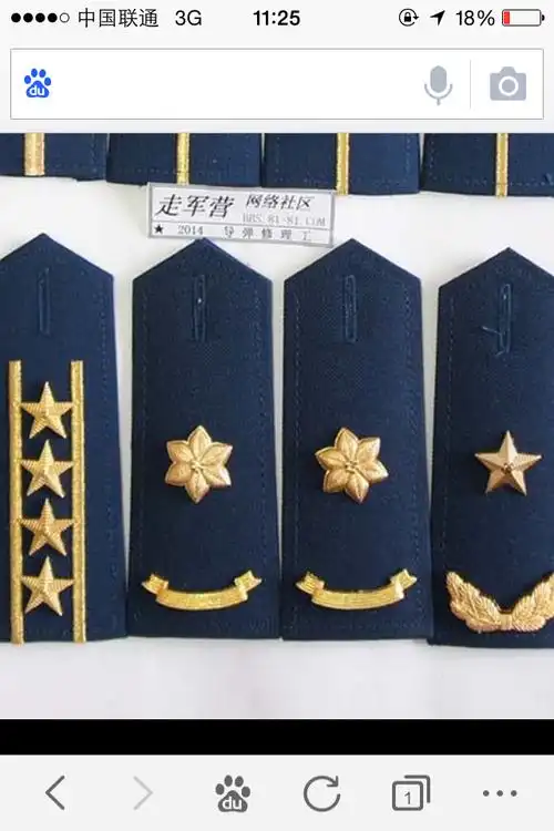 这是空军的什么军衔啊.