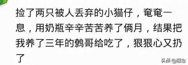搞笑段子警察先生你要相信我我说的都是真的