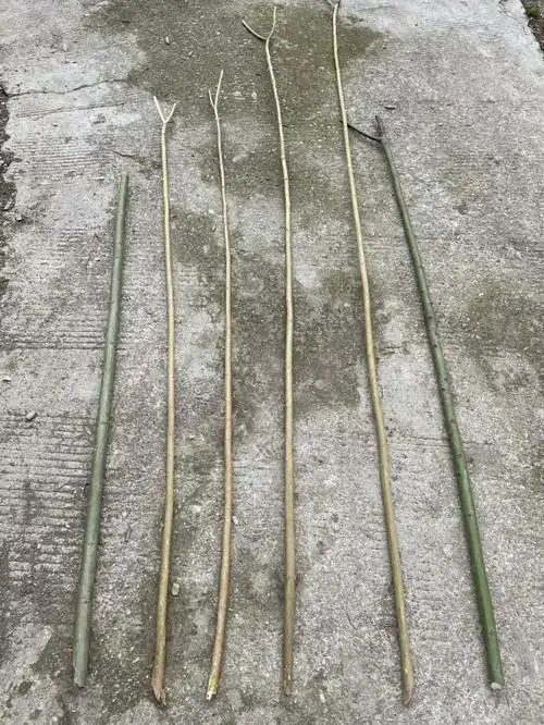 这可是咱家地里精挑细选出来的"黄金棍"嗷,先挑先得,挑剩下的我妈还要