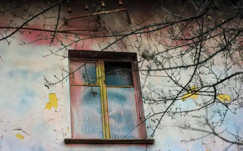 房子,窗口,墙上,树枝