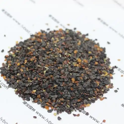 基地直销五彩石竹阳台花草盆栽花卉种子 五彩石竹种子