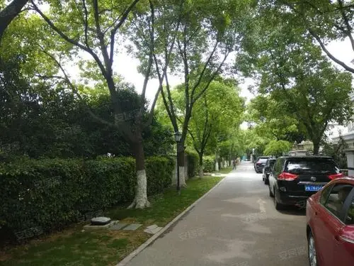 西郊华城,高泾路800弄1-519号-上海西郊华城二手房,租房,房价-上海