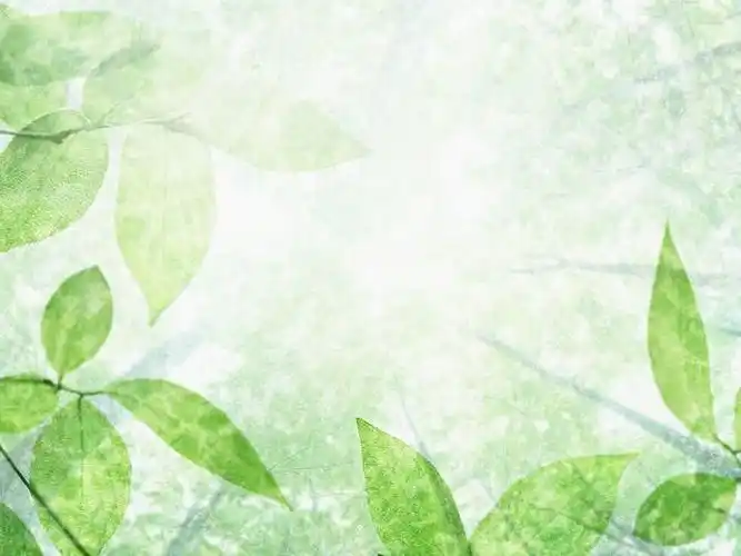 清爽绿叶,水,空气ppt背景图片素材