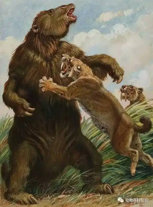 大地懒方舟生存进化大地懒怎么驯服